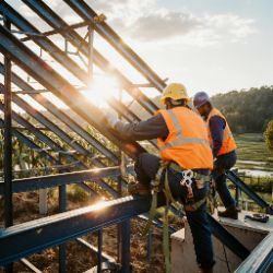 _na46io8t6o5995ts13fv_3 (1)